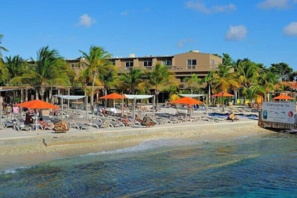 Hoogtepunten van Bonaire & Culturele Ervaring (Bonaire) - Afbeelding 5