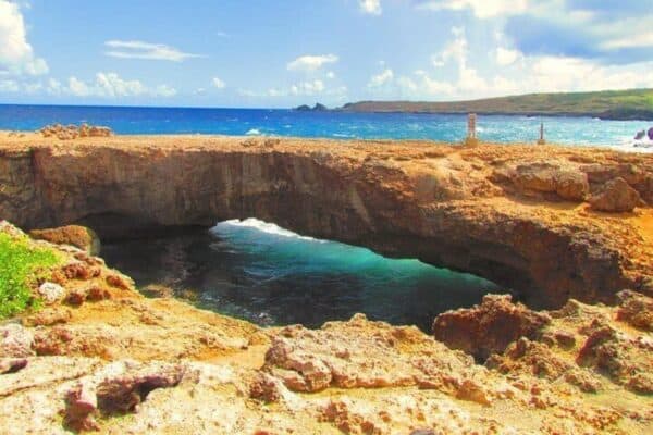 Recorrido turístico en autobús por la playa (Aruba) - Imagen 4