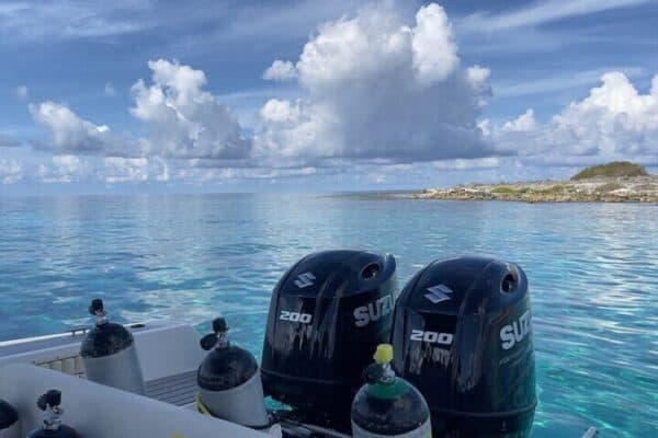 Bonaire Marine Park: Private Boat Diving Experience (Bonaire) - Image 5