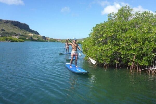 Guided SUP-mangrove ECO tour for beginners (Curaçao) - Image 5