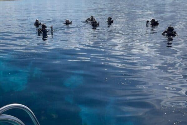 Bonaire Marine Park: Private Boat Diving Experience (Bonaire) - Image 3