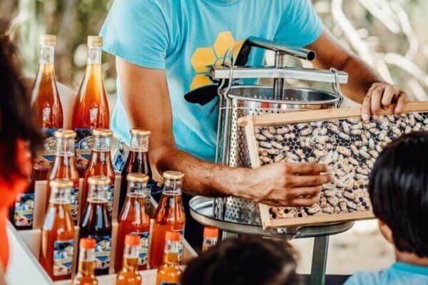 Bijenkorf Avontuur: Jouw Privé Ervaring (Aruba) - Afbeelding 2