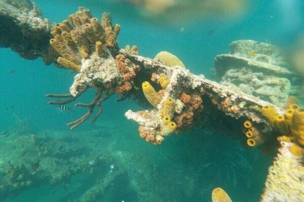 Scheepswrak Seabob Tour (Aruba) - Afbeelding 5