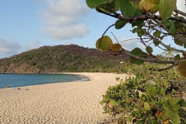 Kleine Groep: Kustwandeling en Zwemexcursie (Sint Maarten)