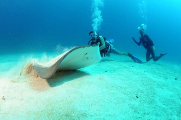 Ontdek Scuba Diven in Sint Maarten (Sint Maarten) - Afbeelding 3
