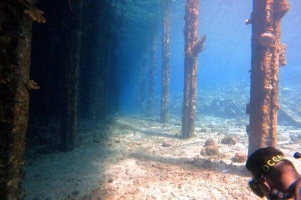 Half-Day Scuba Diving Experience Including Transportation (Curaçao) - Image 3