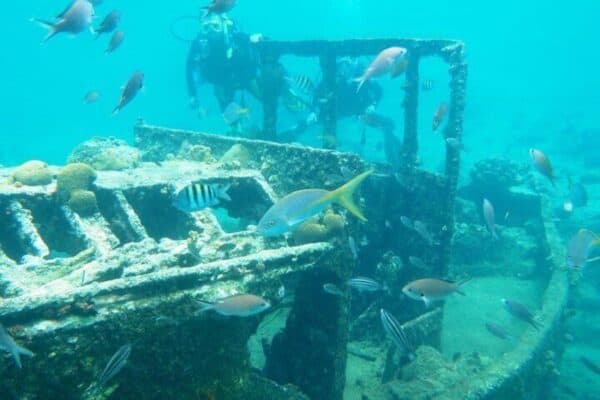 Explore Diving in Curaçao (Curaçao)