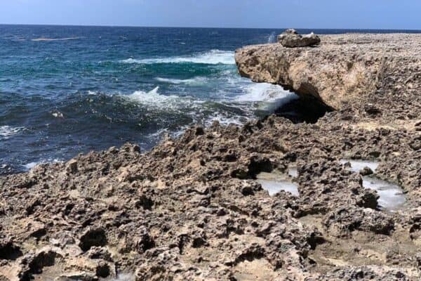 Inscriptions Tour with Local Guide (Bonaire) - Image 3