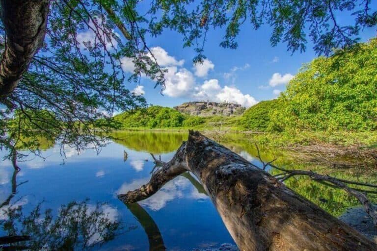 Tour privado por la isla con opciones de sesión de fotos Tour por el norte (Bonaire)