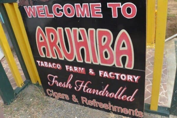 Recorrido turístico Made in (Aruba) - Imagen 2