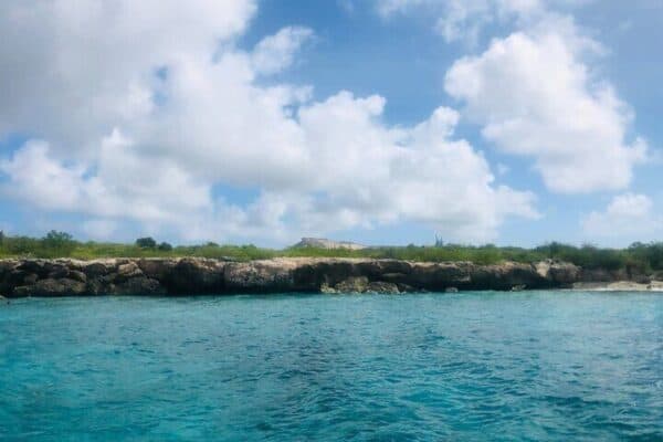 2-uurs privéboottocht - Swim Stop & Aankomst (Curaçao) - Afbeelding 4