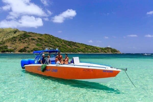 Snorkeling and Speedboat Adventure on the Island (Sint Maarten) - Image 4
