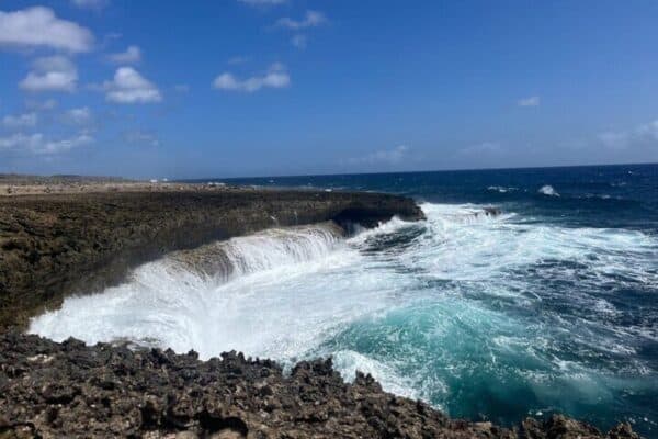 Nature Lovers Tour Curaçao (Curaçao) - Image 2