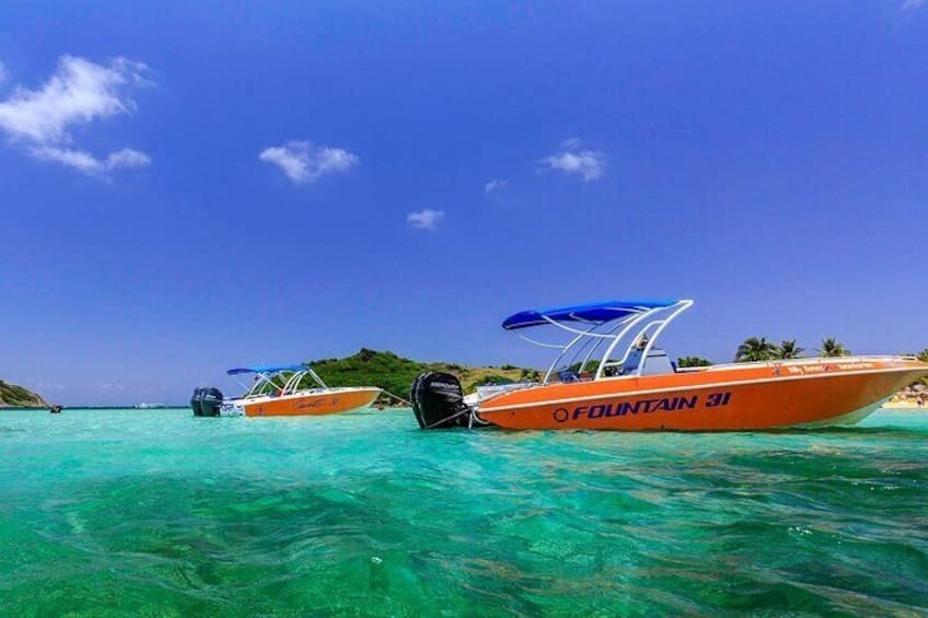 Snorkeling and Speedboat Adventure on the Island (Sint Maarten)