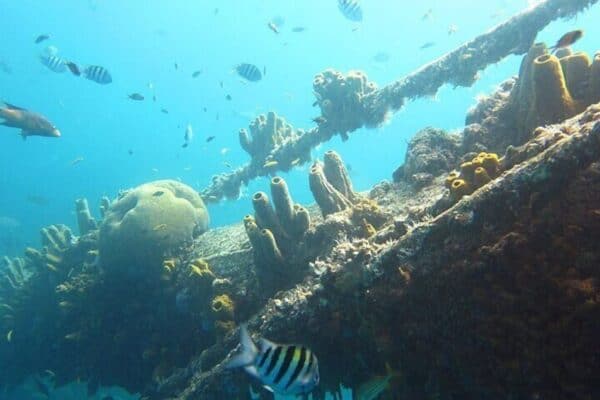Scheepswrak Seabob Tour (Aruba) - Afbeelding 3