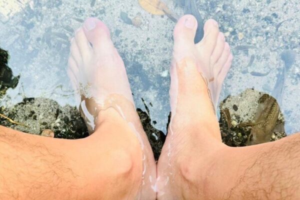 Tour de safari de medio día y playa para bebés (Aruba) - Imagen 4
