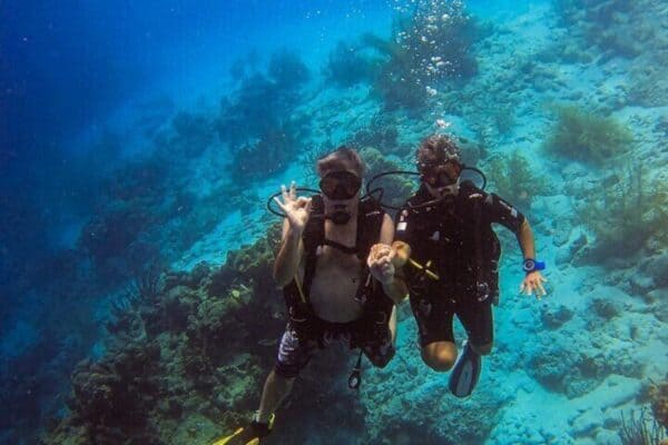 Private 2-Tank Certified Scuba Diving Experience in Curaçao (Curaçao) - Image 5