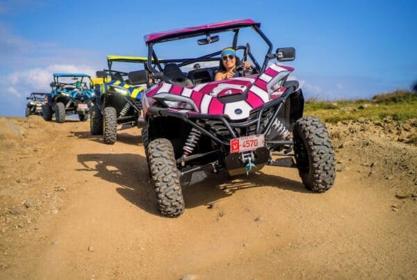 Wild Side – Tour UTV Todo Incluido Descubre el Norte (Aruba) - Imagen 3