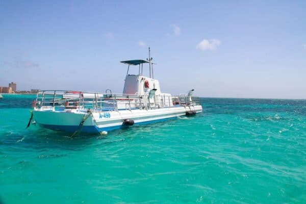 Seaworld Explorer - Semi-onderzeeboot Tour (Aruba) - Afbeelding 5