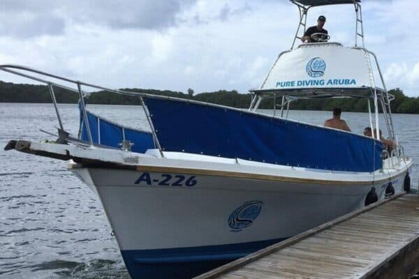 2-Tank Guided Dive for Certified Divers (Aruba) - Image 2