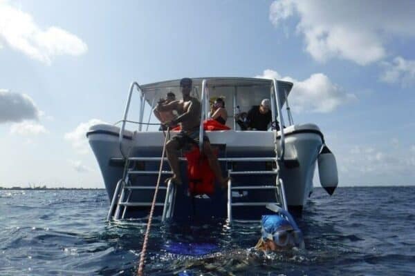 Double Snorkeling Tour (Bonaire) - Image 5