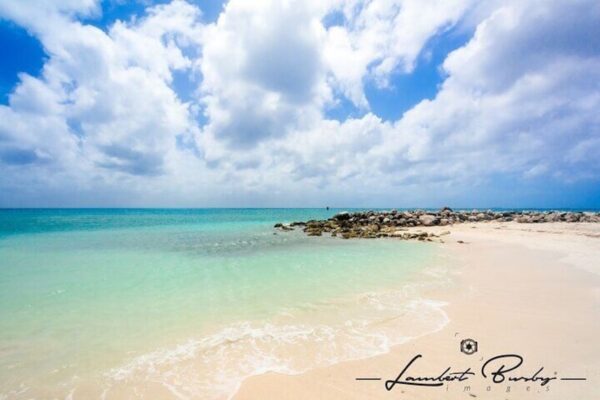 Half Day Private Guided Tour (Aruba) - Image 5