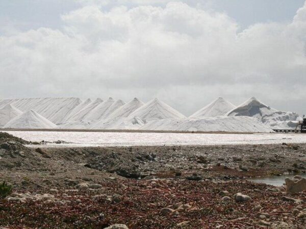 Your Guide: Private Tour (North  South) Customize (Bonaire) - Image 2