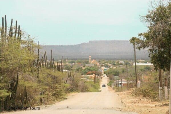 Visit Rincon with a Local Guide (Bonaire) - Image 3