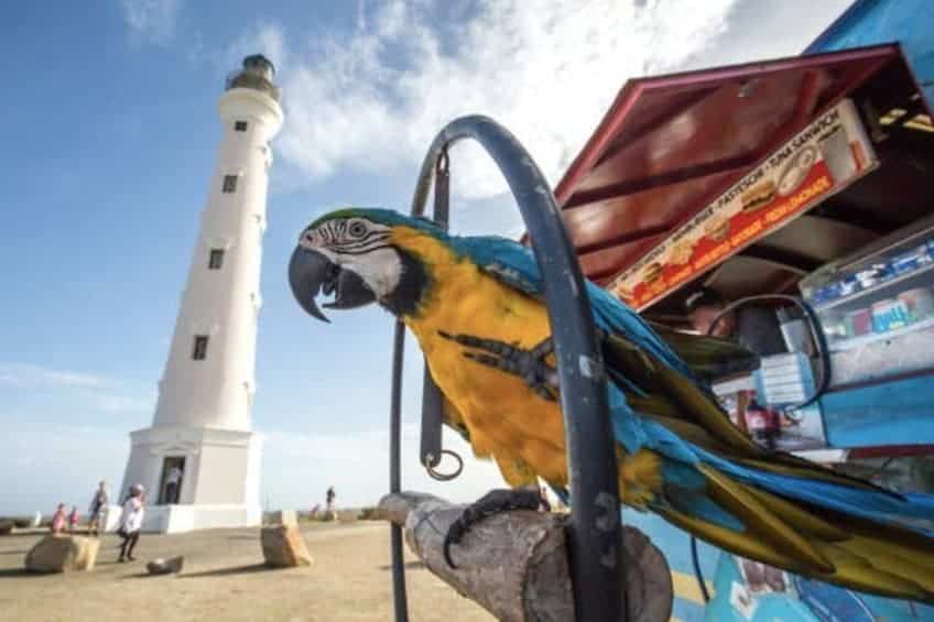 Strandexcursie: Hoogtepunten en Verwennerijen Tour (Aruba) - Afbeelding 2