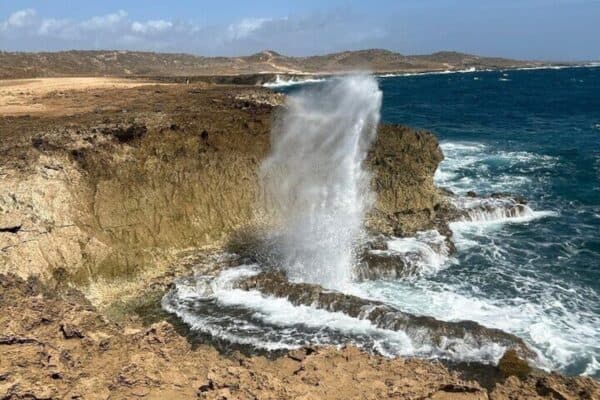Aventura definitiva de la costa norte (Aruba) - Imagen 5