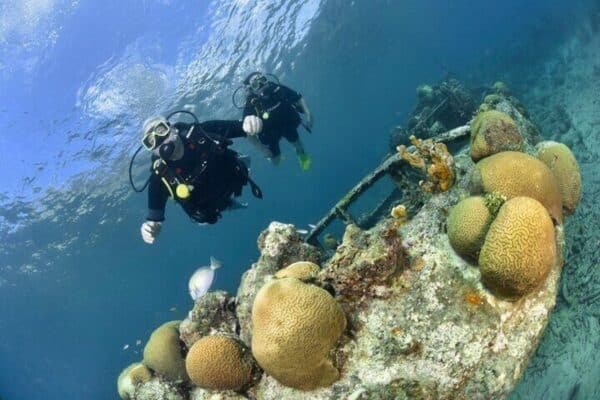 Explore Scuba Diving in Curacao (Curacao)