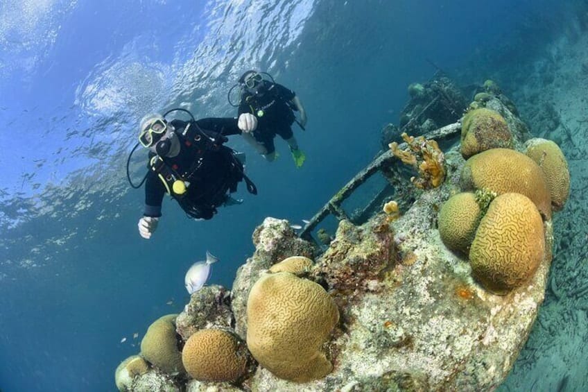 Ontdek Scubaduiken in Curaçao (Curaçao)
