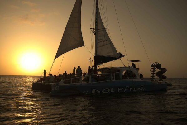 Dolfijn Sunset Avontuur op de Catamaran (Aruba) - Afbeelding 3