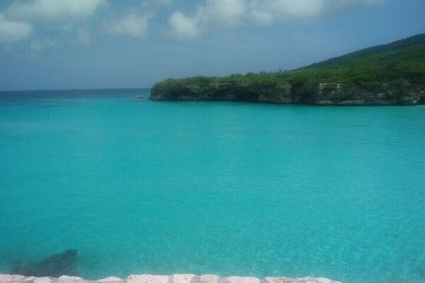 Western Snorkeling and Swimming Adventure (Curaçao) - Image 5