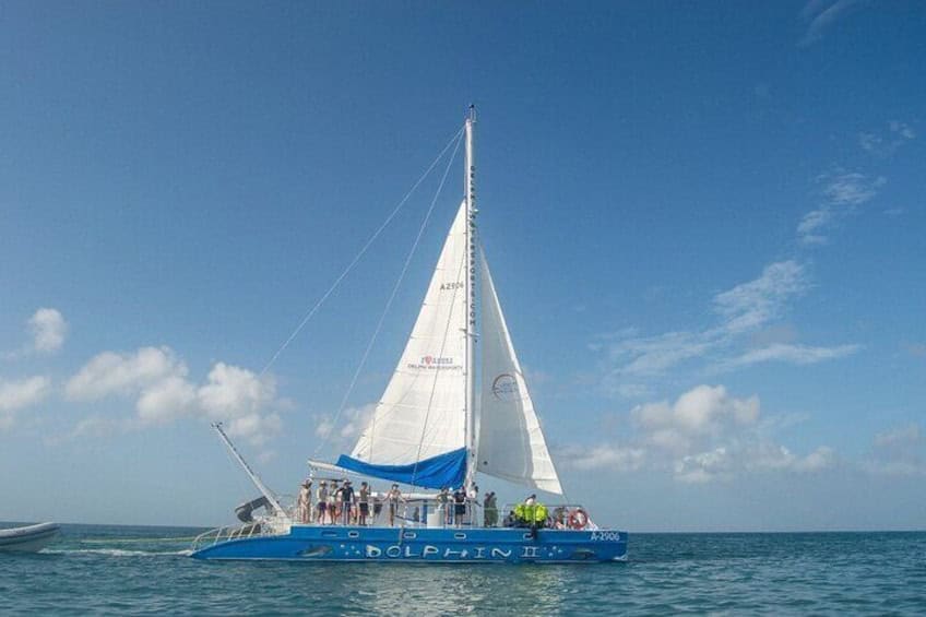 Dolfijnen Catamaran Snorkelen en Zeilen met Open Bar (Aruba)