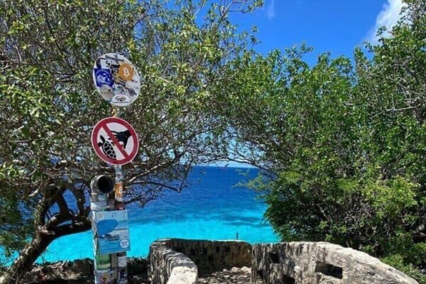 Tour Norte y Sur con un guía local (Bonaire) - Imagen 4