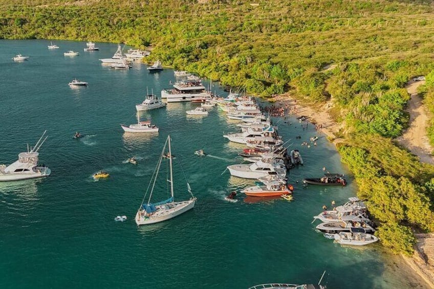 Sunday Boat Festival: DJs