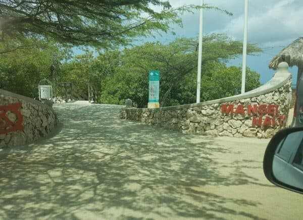 Excursión en kayak por el bosque de manglares de fondo translúcido (Aruba) - Imagen 2