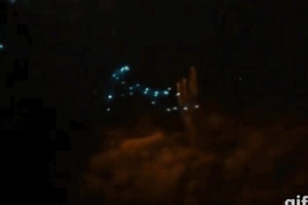 Bioluminescent Night Snorkeling (Bonaire) - Image 3