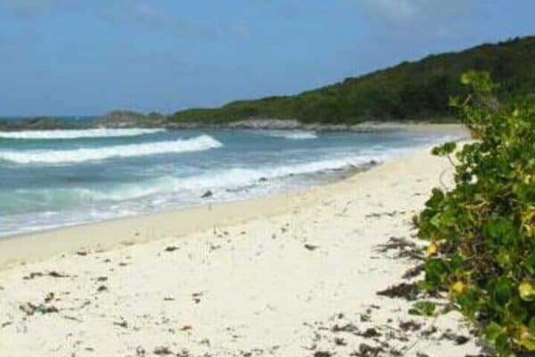 Paseo por la naturaleza a la Playa Escondida (Sint Maarten) - Imagen 2