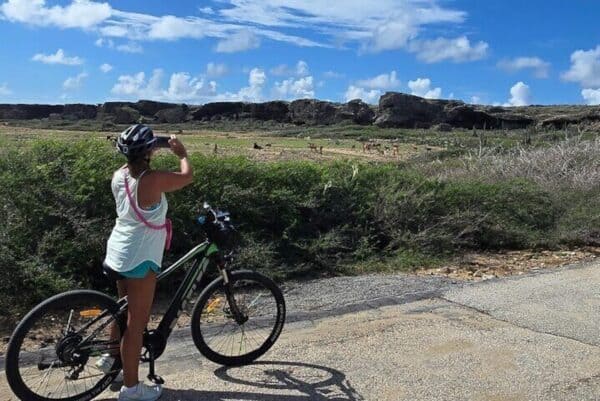 Private Street Art and Coastal Splendor: E-Bike Adventure in San Nicolas (Aruba) - Image 3