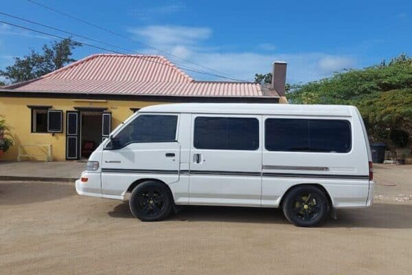 Halve Dagtour (Aruba)