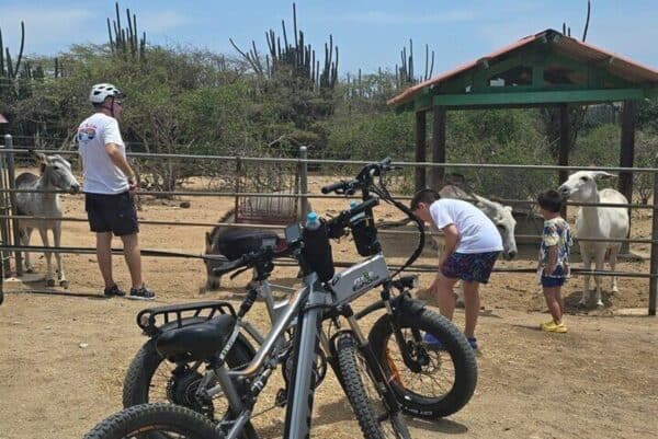 La laguna española - Molinos de oro y patrimonio natural Recorrido en bicicleta eléctrica (Aruba) - Imagen 2