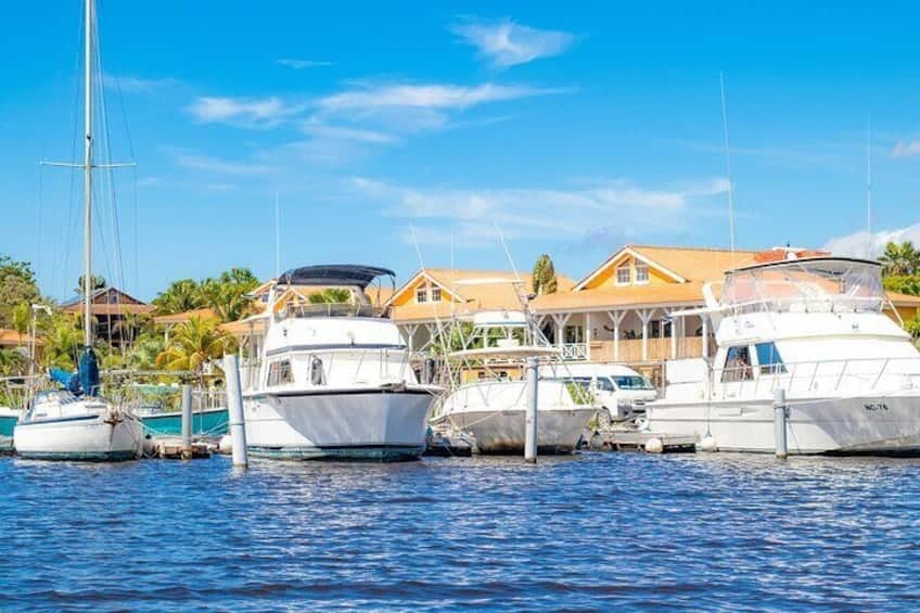 Sparkling Iguana Trip in Curaçao (Curaçao) - Image 2