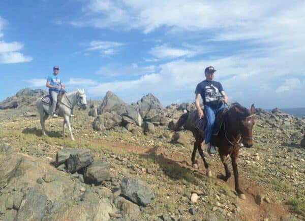 2 Hour Advanced Horseback Riding to the North Coast (Aruba) - Image 3