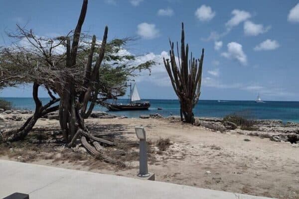 Beste Eiland Tours (Aruba) - Afbeelding 3