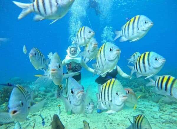 Willemdstad: Underwater Hiking Experience (Curaçao) - Image 4