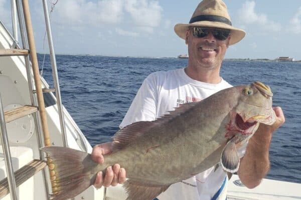 Fishing Charter 4 hours (Bonaire) - Image 2