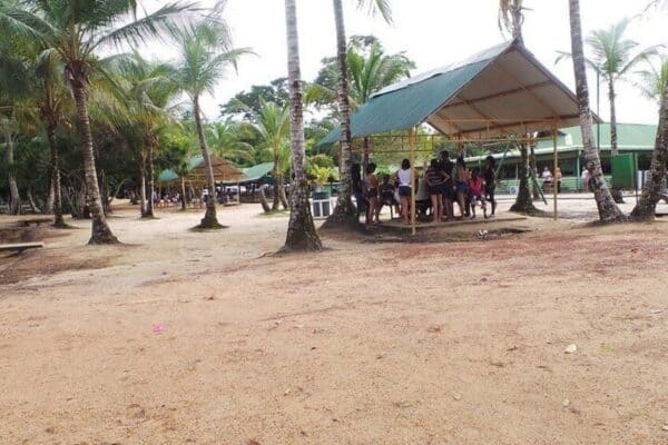 2-Day Jodensavanne and Bridging from Paramaribo (Suriname) - Image 5