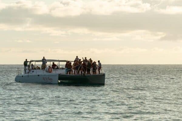 JollyCat Geluk en Genot (Sint Maarten) - Afbeelding 3